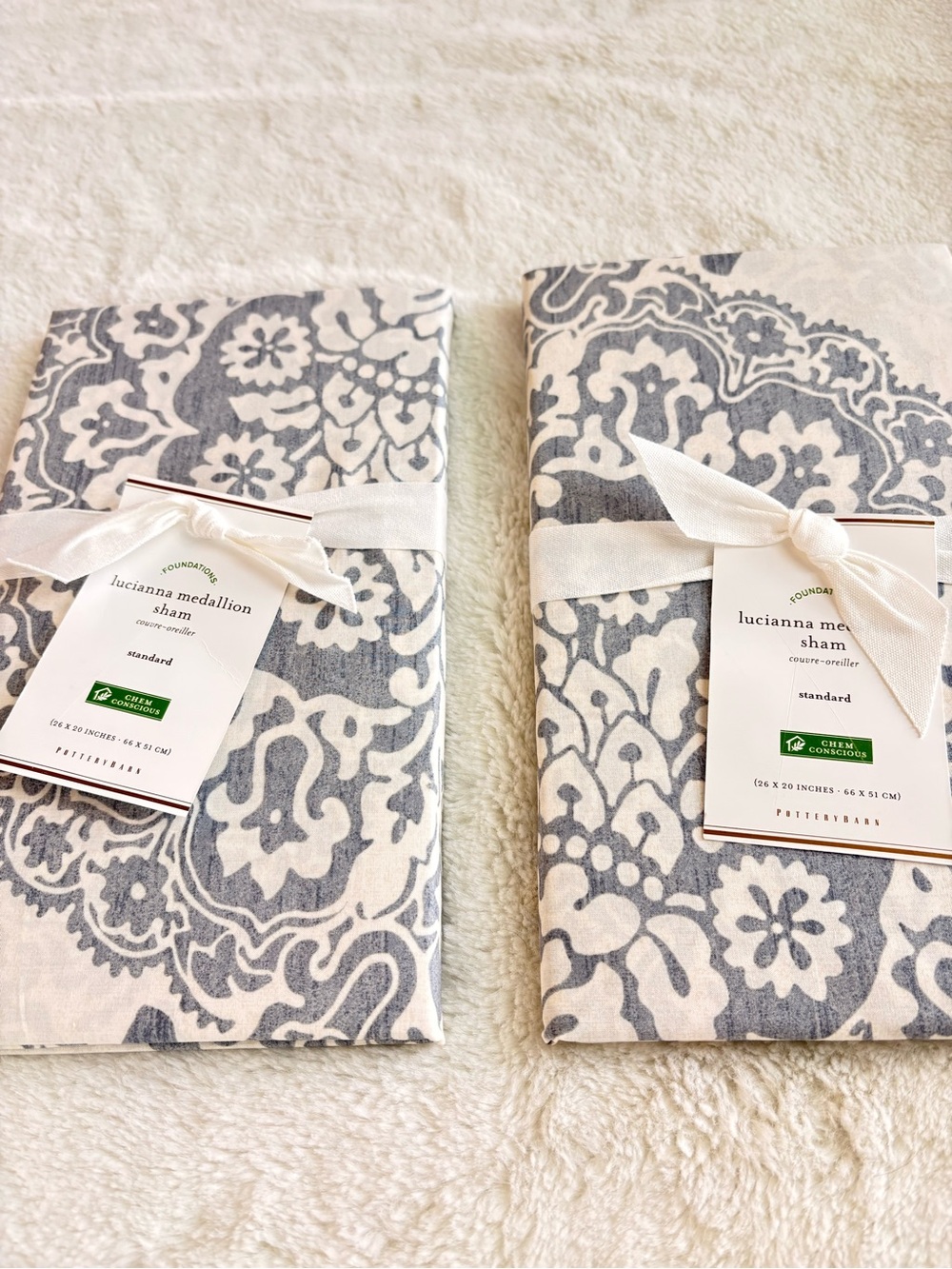 Pottery Barn Luciana Medallion Sham (x2) NWT